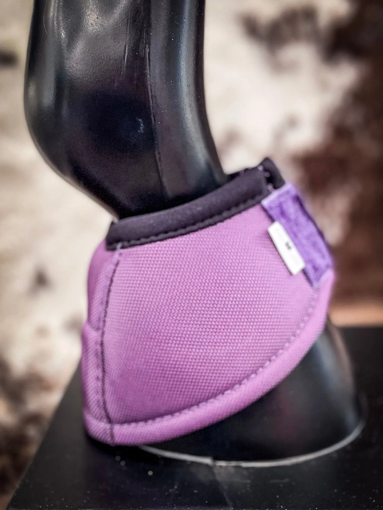 Classic Equine No-Turn Bell Boot - Solid Colors